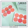 Sale Emelie Matte Blusher 6 Color Palette