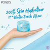 Pond’s Super Light Gel